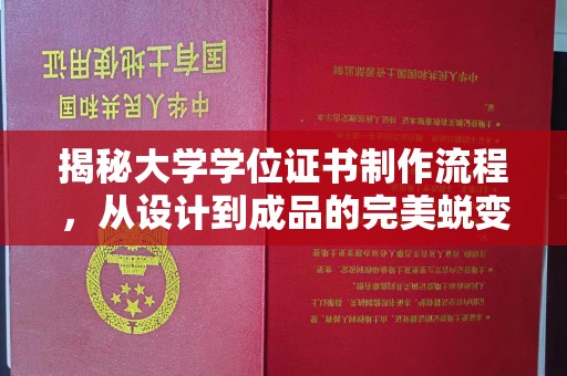 饶阳揭秘大学学位证书制作流程，从设计到成品的完美蜕变